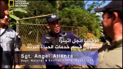 ‫وثائقي - صيادو الأفاعي- كيمن الكاريبي HD‬‎