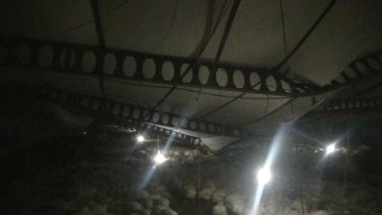 Kar Nedeniyle Çatısı Çöken Çiftlikte 10 Bin Tavuk Telef Oldu