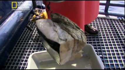 ‫وثائقي - رجال القرش الأبيض- طعم النمر HD‬‎