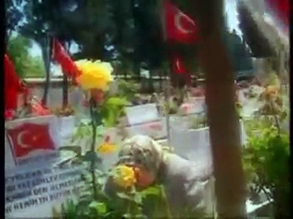 Mehmetcik siiri