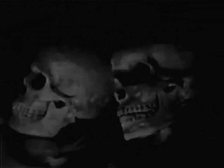 Ionic Vision - B10/ Skeleton Subways