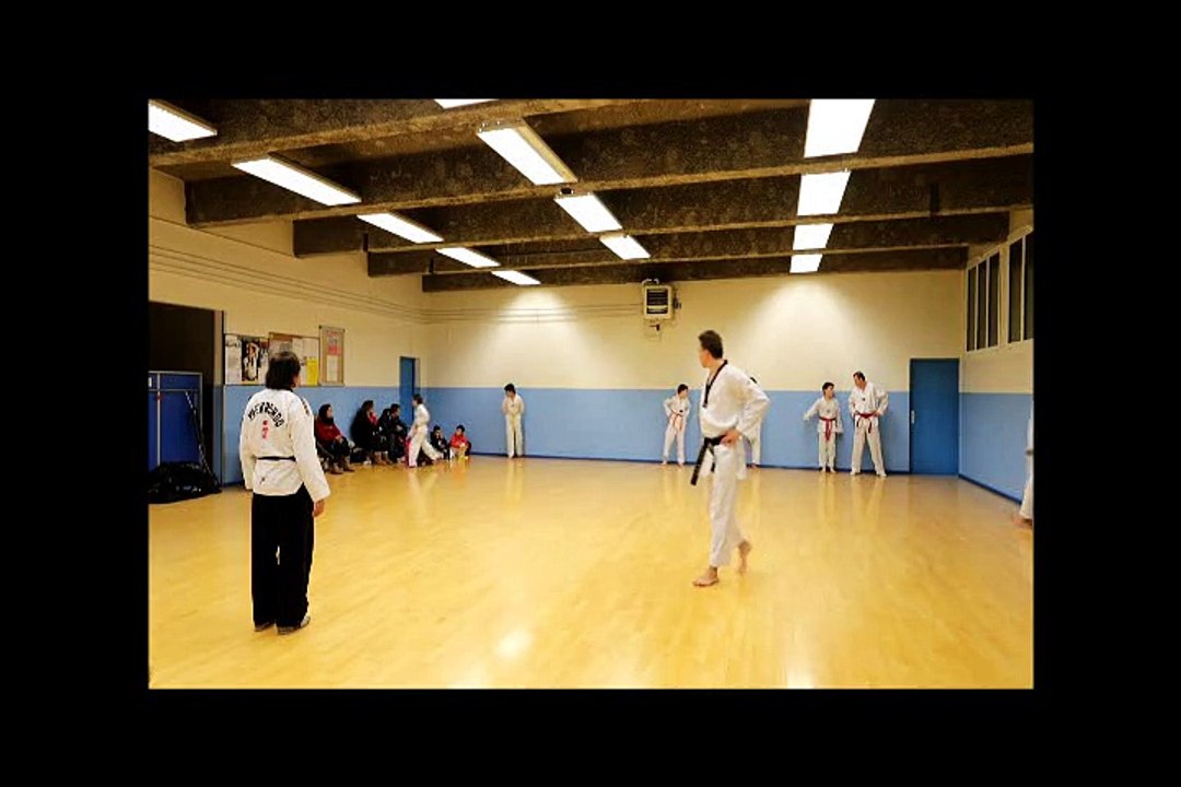 Film passage grades par selini jean pierre art martiaux