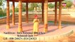 Ya Rasool Allah Video Naat - Ahmed Raza Mehmoodi -  New Naat [2015] - Naat Online