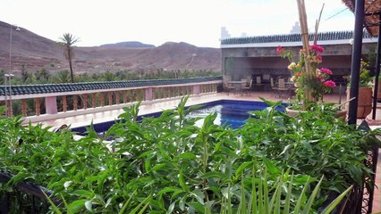 Un univers étrange et subjugant  l'oasis de Fint