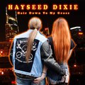 Hayseed Dixie - Hair Down To My Grass MP3
