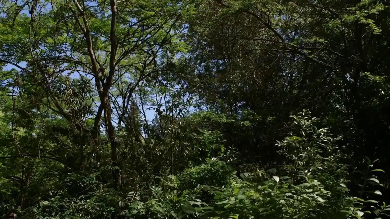 #1 City in Portland, Oregon MUST DO 2015!!!