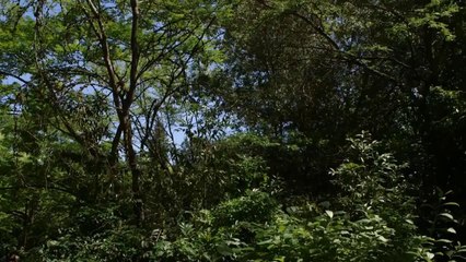 #1 City in Portland, Oregon MUST DO 2015!!!