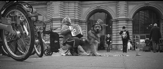 Frankfurt Film Crew | Street VideoGraphy| Canon 6d| 35mm| Slider