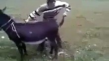 very funney video