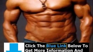 Visual Impact Muscle Building Pdf Download + Visual Impact Muscle Building Ebook