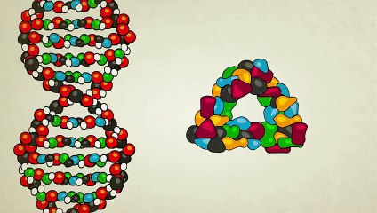 Unlocking the Secrets of DNA: How It Shapes Life 🧬