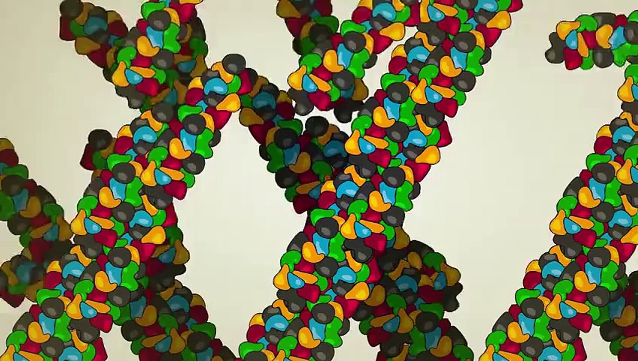 What is a gene?