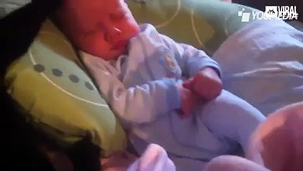 قطه تتحول إلي جليسة أطفال