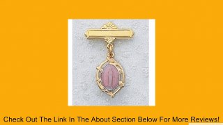 14K Gold over Solid .925 Sterling Silver Pink Miraculous Medal, Virgin Saint Mary, Immaculate Conception Gold Plated Baby Pin Charm Jewelry Gift Baptism Communion Jewelry Charm New Review