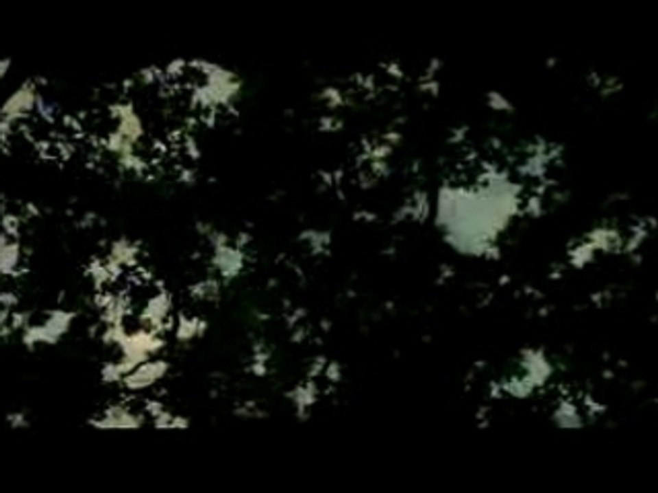 Slipknot - Vermillion Pt2