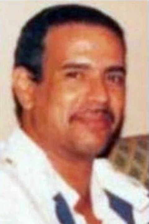 غناء مفيدة أحمد
