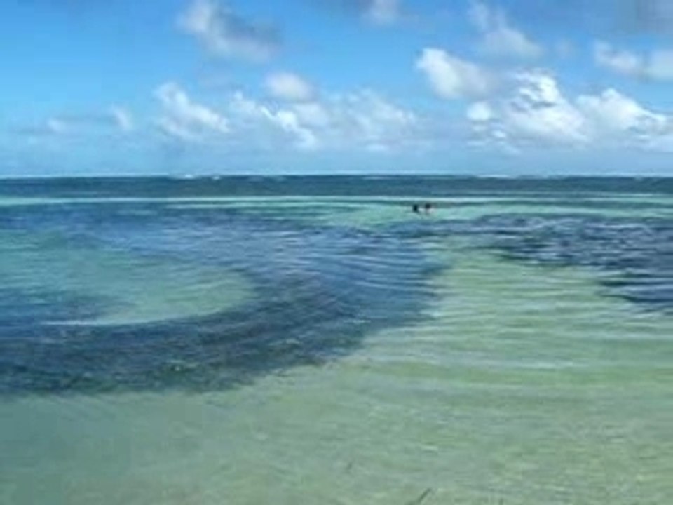 DSCF0208