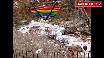 Donan Derenin 'Hes' Direnişi