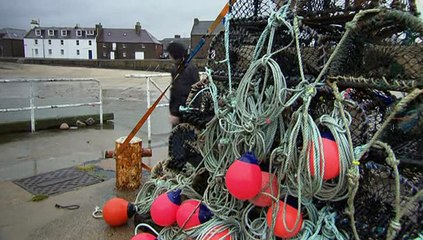 BBC.Wild.Cameramen.at.Work.1of4.Ice.PDTV.XviD.AC3.MVGroup.org