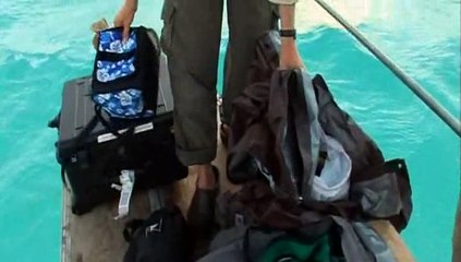 BBC.Wild.Cameramen.at.Work.3of4.Sky..PDTV.XviD.AC3.MVGroup.org
