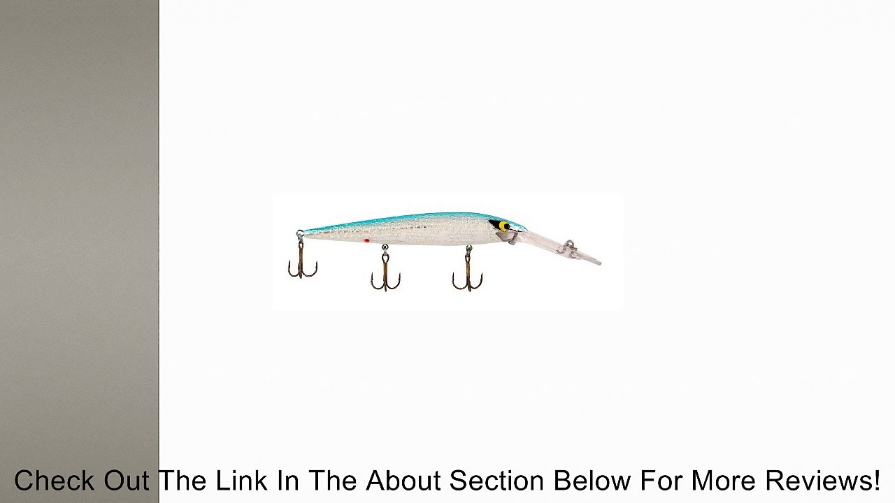 Smithwick Lures Deep Suspending Rattlin' Rogue Fishing Lure Review