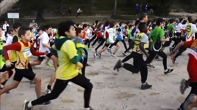 cross départemental cabriès 11 janvier 2015