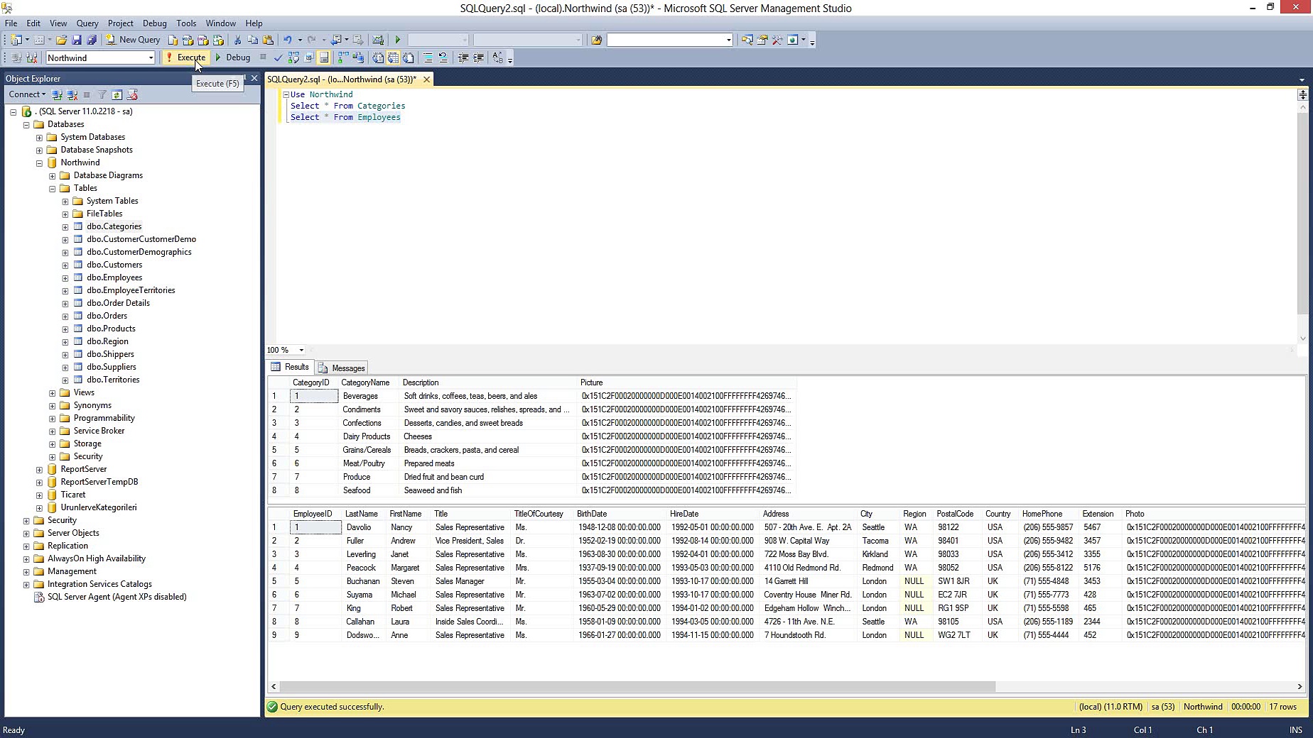 SQL Server (Eğitim Seti 1)