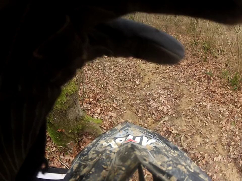 sortie 10 janvier 2015 mika