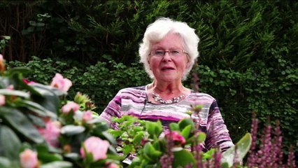 Valse tanden gebroken? tandlabo Buyle 4v/d5 (HQ)