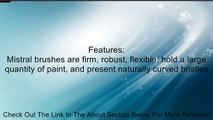 Pebeo Mistral Brush, Short Filbert No.16, Natural White Bristles, 16mm Review