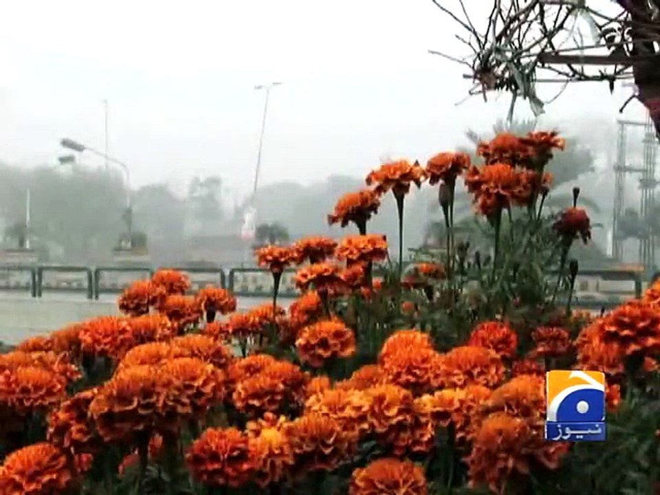 Lahore Weather-11 Jan 2015