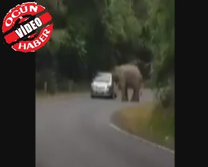 Otomobili hurdaya çevirdi