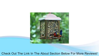 Perky Pet Perky Pet Antique Copper Bird Feeder Review