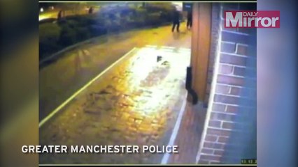 CCTV Footage of Robbery in McDonalds