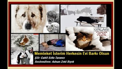 Memleket İsterim-Adnan Zeki Bıyık Seslendiriyor