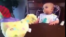 Baby Has Priceless Reaction to Toy Chicken Laying Easter Eggs