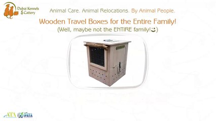 DKC: The Most Reliable Pet Care Expert In Dubai