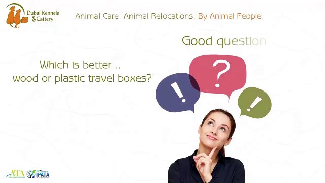 Better And Healthier Pets With Dubai Kennels & Cattery