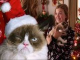Grumpy Cat's Worst Christmas Ever (2014) Full Movie Streaming