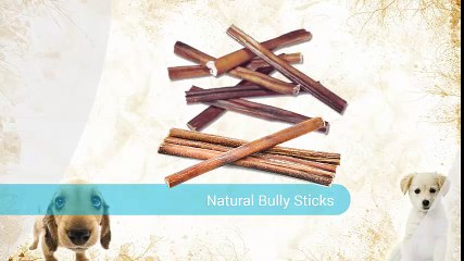 6" Beef Bully Sticks for Dogs and Puppies Reviews