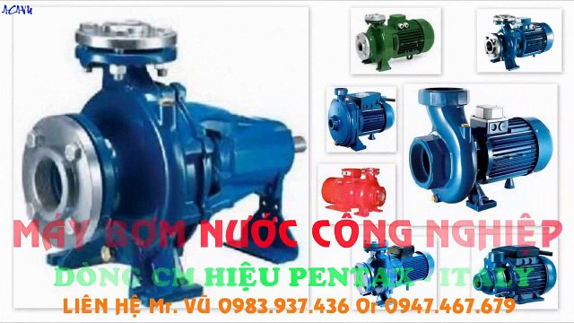 -Cung cấp...) bơm nước Pentax: CM 65-160B - 11kw(15hp) “- Italy”