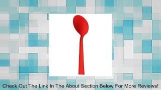 Koziol Palsby Ladle Review