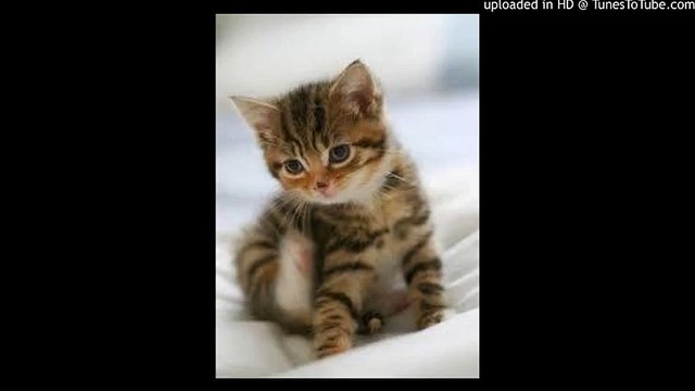 My Foolish Heart/マイ・フーリッシュ・ハート/愚かなり我が心/ピアノ 高橋丈太郎