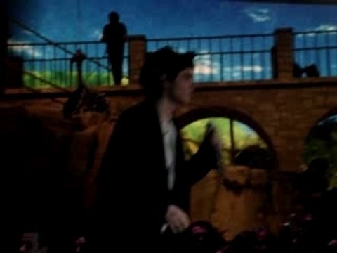 les enfoirés 2007 à Nantes