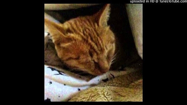 The Windmills of Your Mind/The Thomas Crown Affair/風のささやき/華麗なる賭け/ピアノ 高橋丈太郎