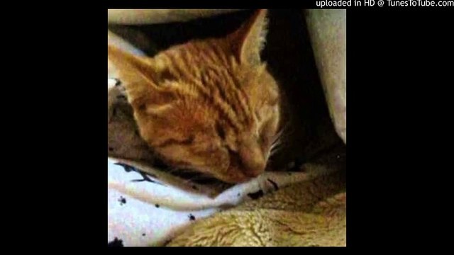 The Windmills of Your Mind/The Thomas Crown Affair/風のささやき/華麗なる賭け/カラオケ/karaoke/ピアノ 高橋丈太郎