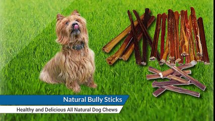 Pack of 5 - 6Inch Beef Bully Sticks for Dogs and Puppies