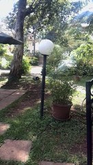 Nairobi's Horny Cats caught doing it!