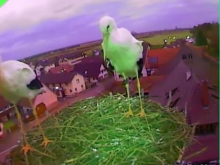 12.01.15  au matin / morgens