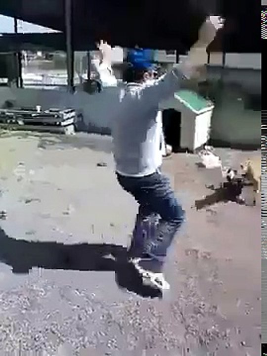 Pitbullla Şaka Olmaz